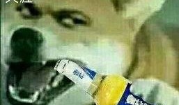 大哥爆料啤酒制作视频教程,自制啤酒全攻略，视频教程带你轻松入门